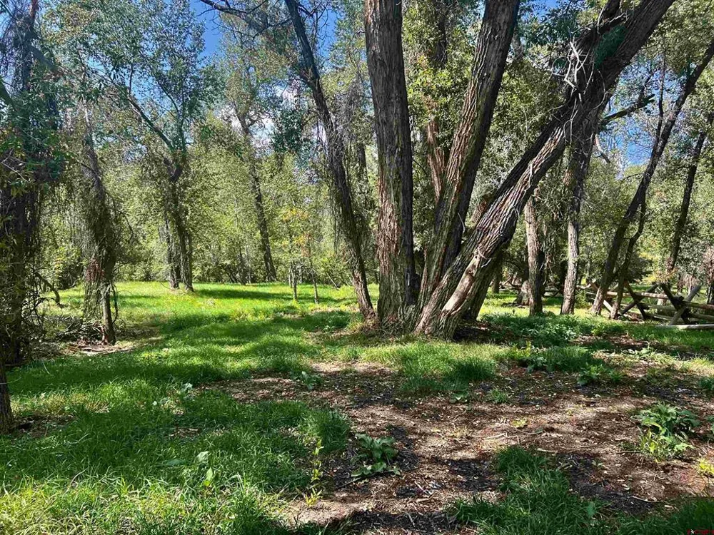 2777 County Road 225 Durango, CO 81301