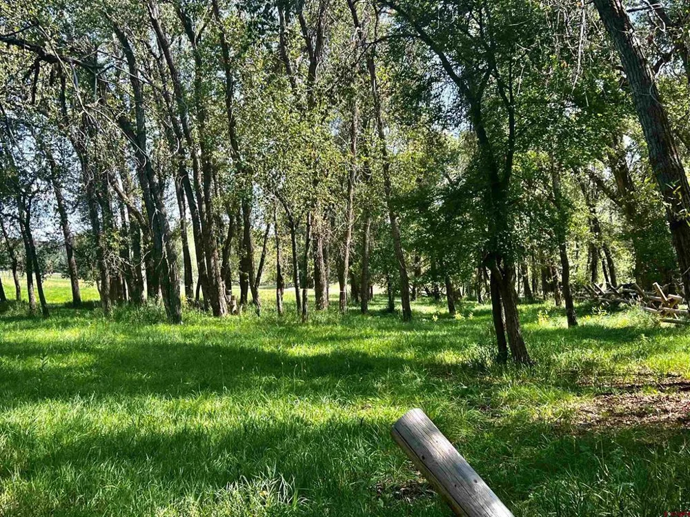 2777 County Road 225 Durango, CO 81301