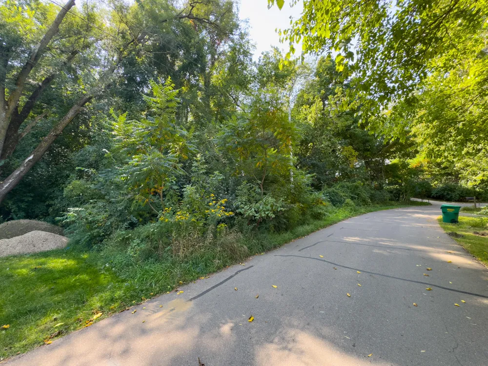 45 Walnut Drive Three Rivers, MI 49093