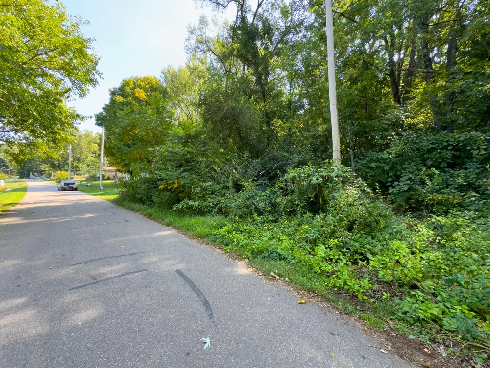 45 Walnut Drive Three Rivers, MI 49093