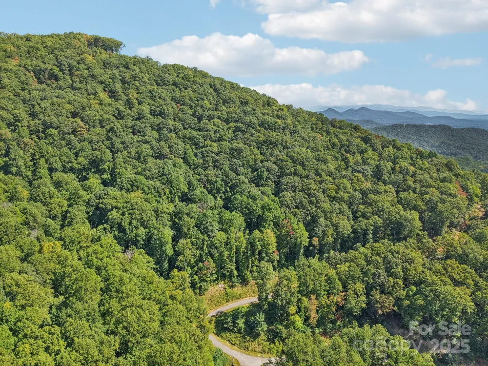 000 Biltmore View Drive #10 Candler, NC 28715