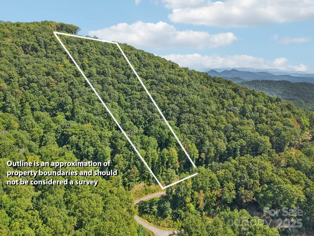 000 Biltmore View Drive #10 Candler, NC 28715