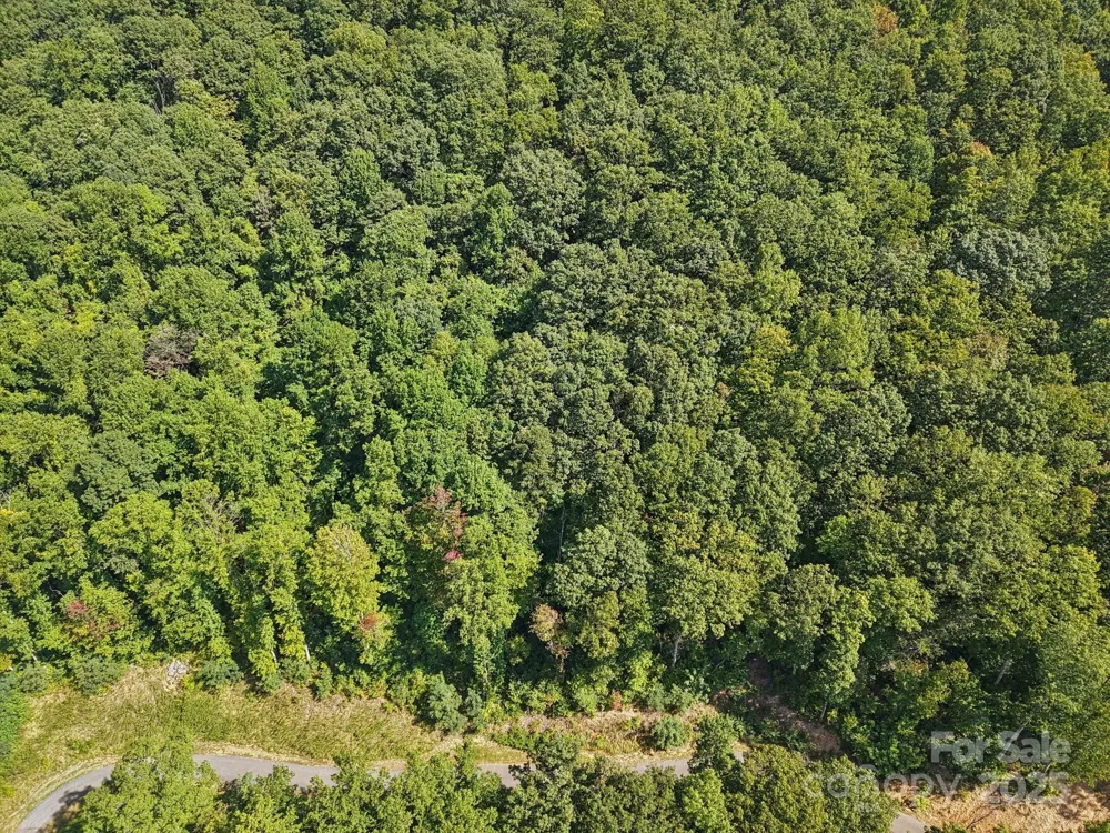 000 Biltmore View Drive #10 Candler, NC 28715