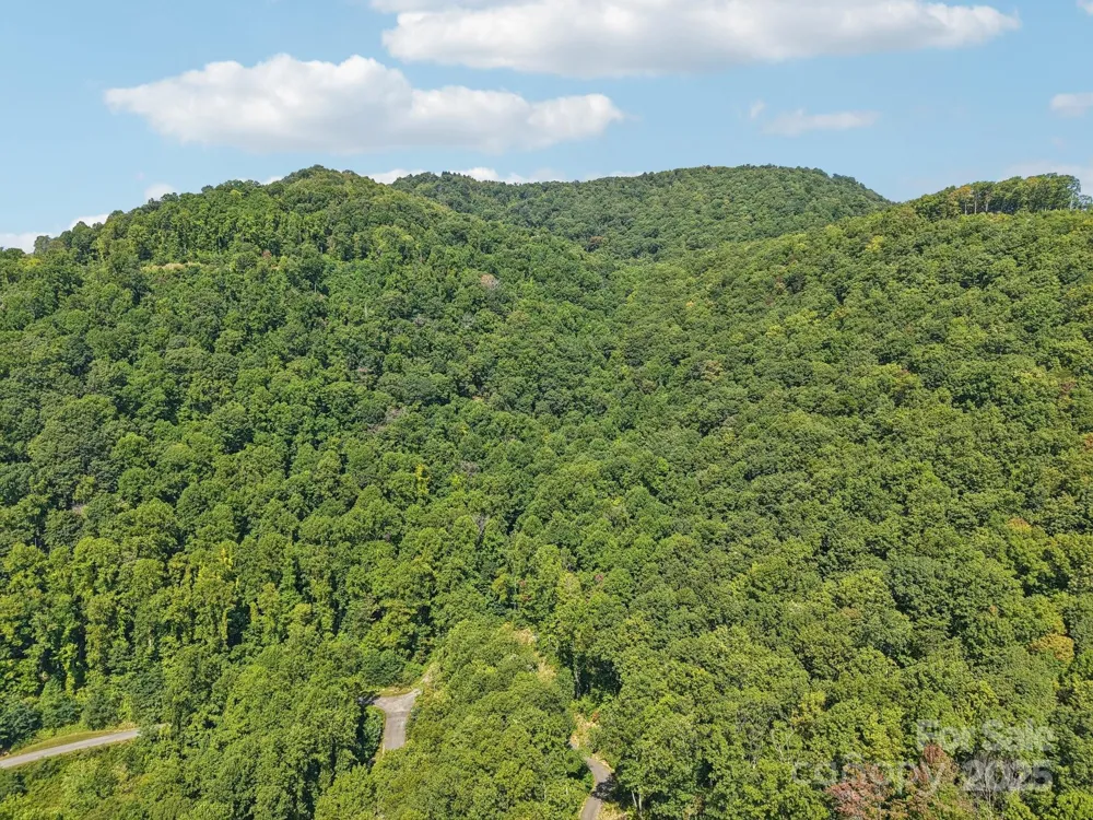 000 Biltmore View Drive #10 Candler, NC 28715