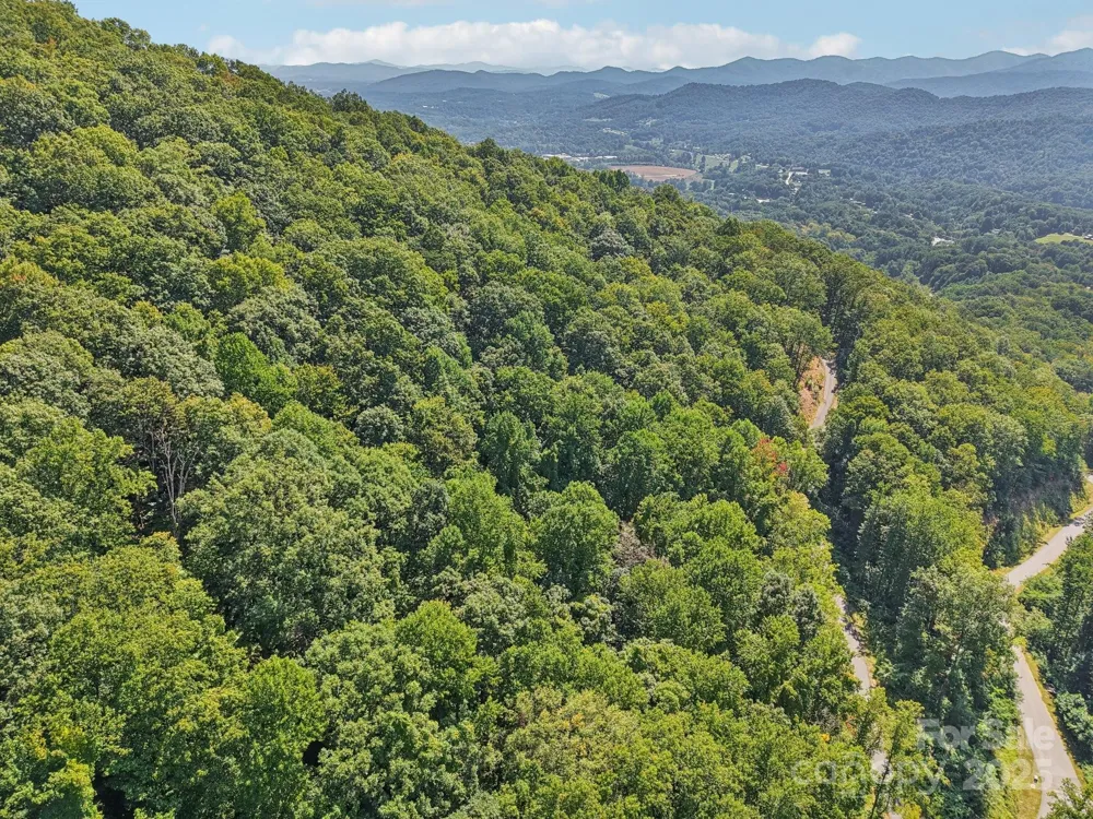 000 Biltmore View Drive #10 Candler, NC 28715