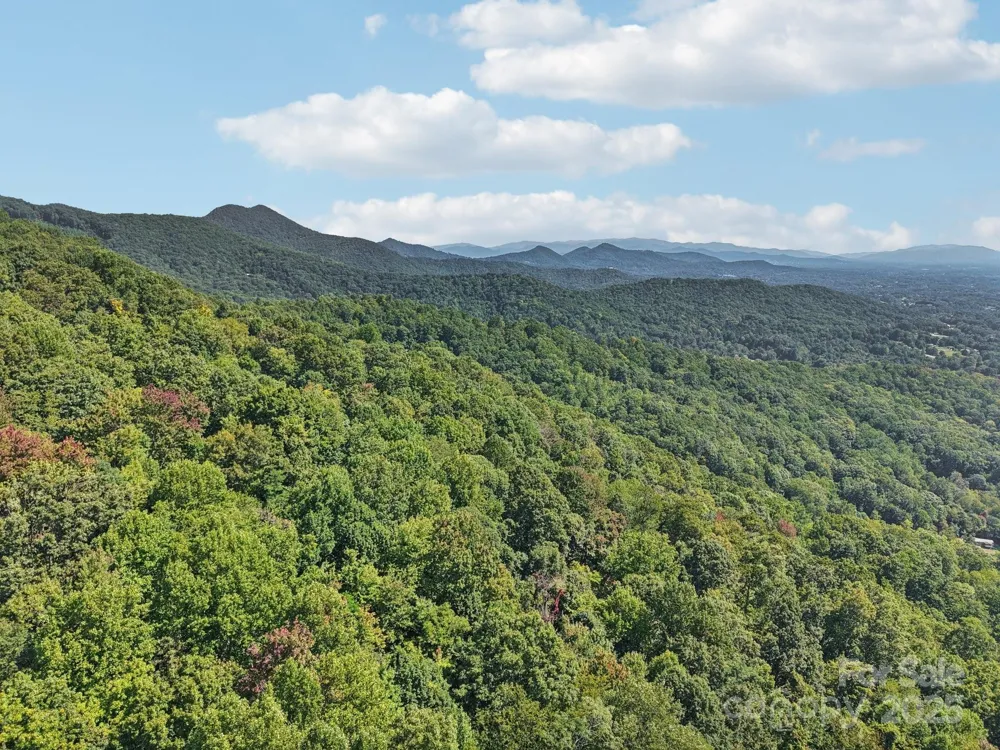 000 Biltmore View Drive #10 Candler, NC 28715