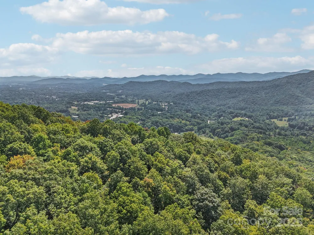 000 Biltmore View Drive #10 Candler, NC 28715