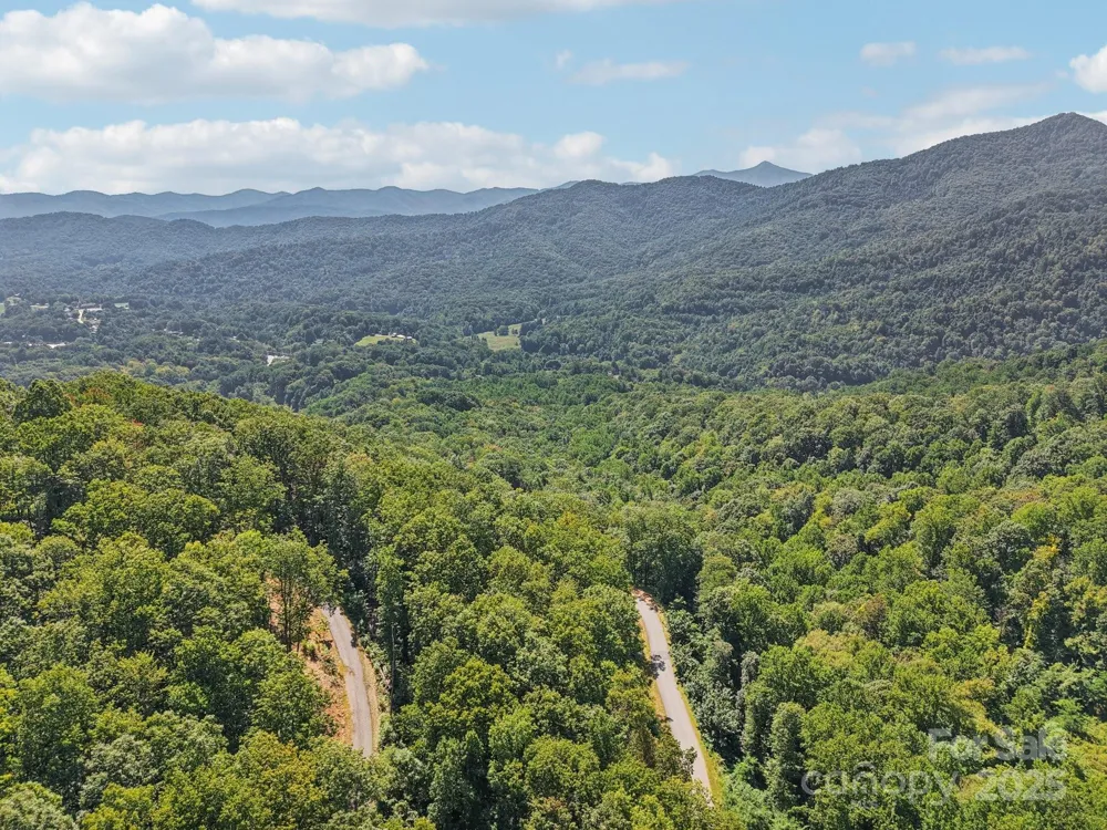 000 Biltmore View Drive #10 Candler, NC 28715