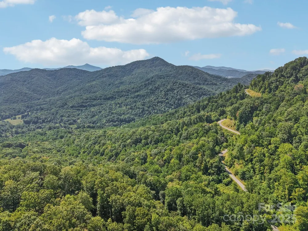 000 Biltmore View Drive #10 Candler, NC 28715