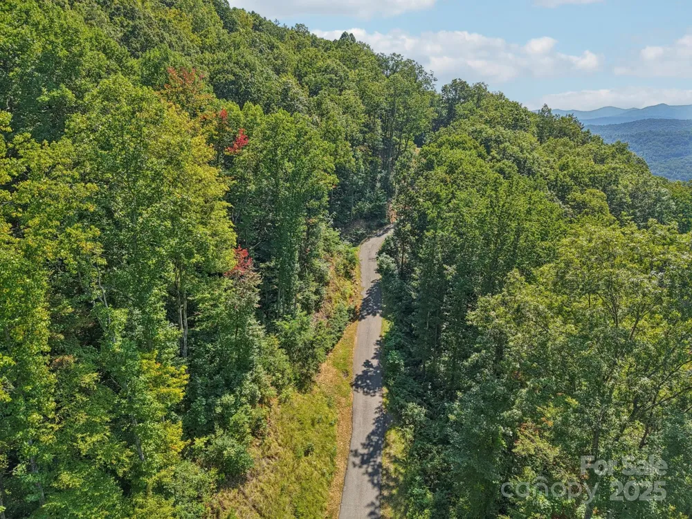000 Biltmore View Drive #10 Candler, NC 28715