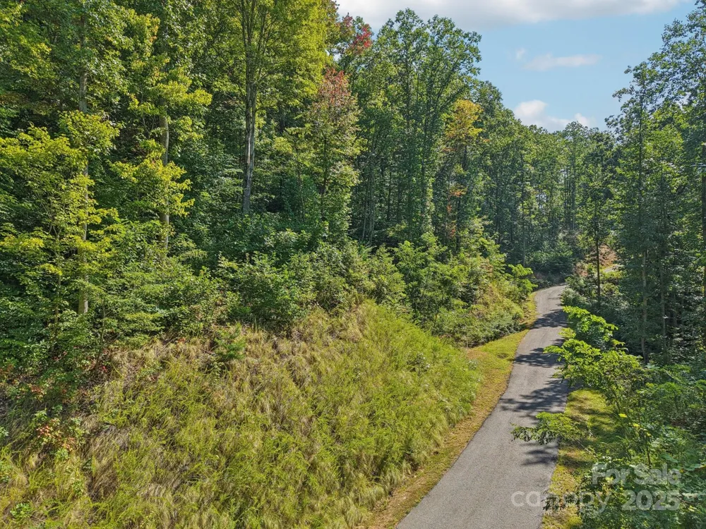 000 Biltmore View Drive #10 Candler, NC 28715