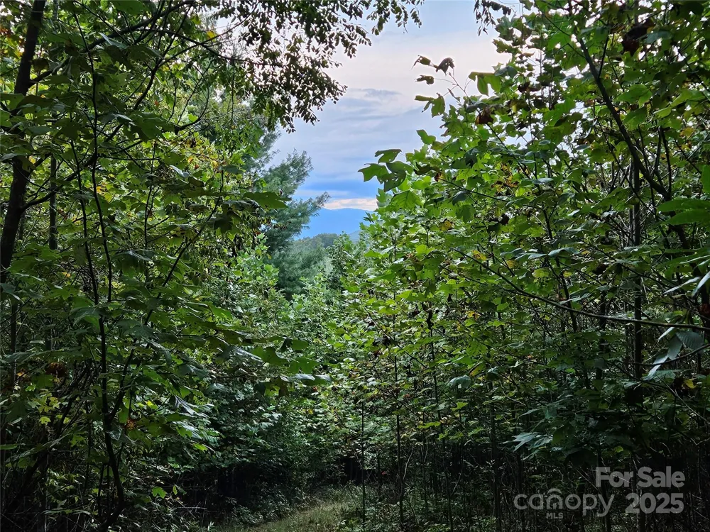 000 Double Island Road Green Mountain, NC 28740