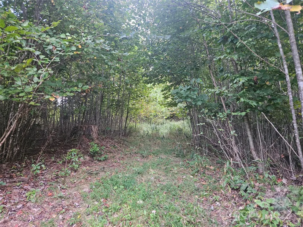 000 Double Island Road Green Mountain, NC 28740
