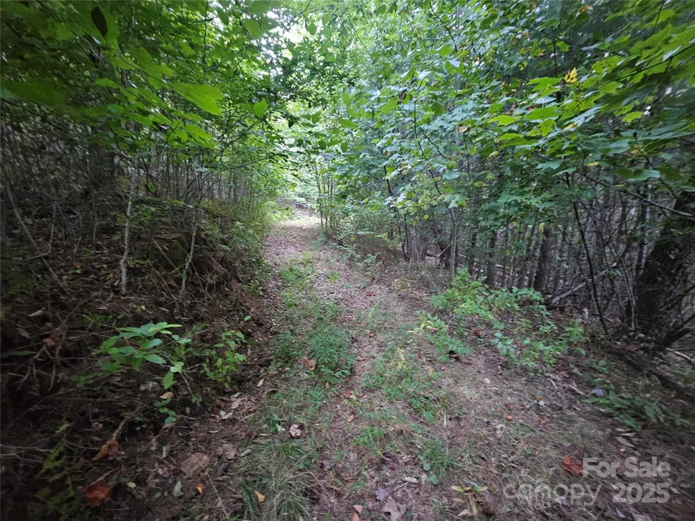 000 Double Island Road Green Mountain, NC 28740