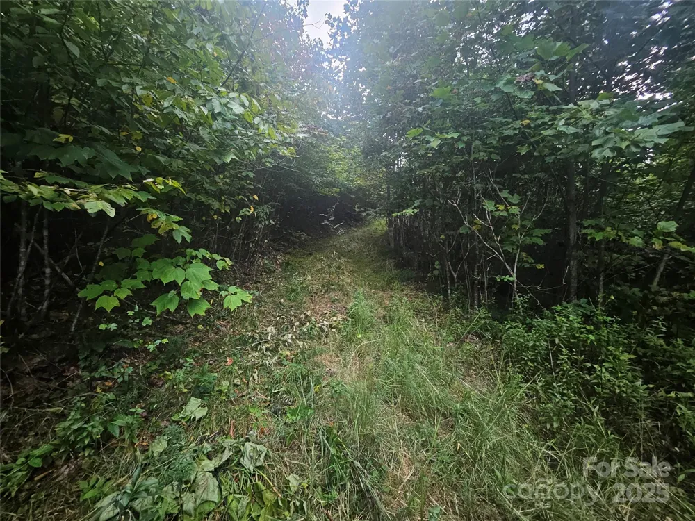 000 Double Island Road Green Mountain, NC 28740