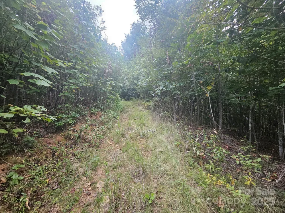 000 Double Island Road Green Mountain, NC 28740