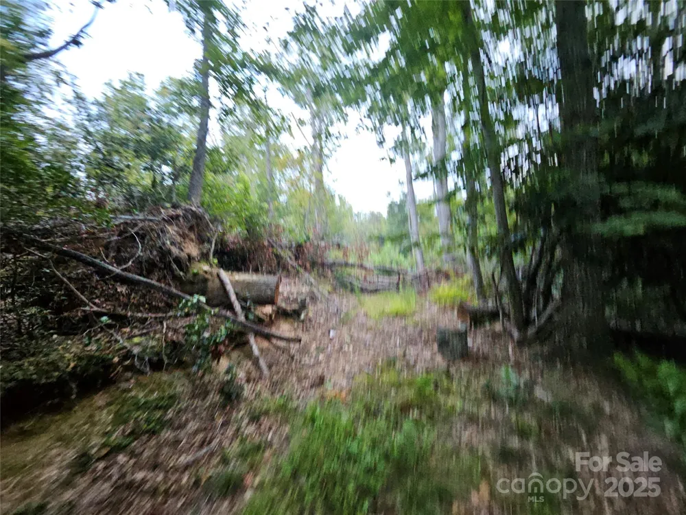 000 Double Island Road Green Mountain, NC 28740