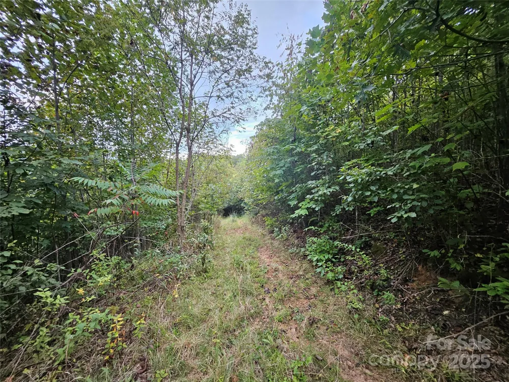 000 Double Island Road Green Mountain, NC 28740