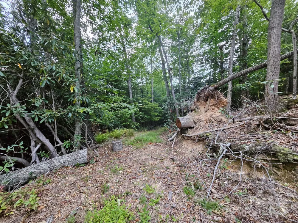 000 Double Island Road Green Mountain, NC 28740