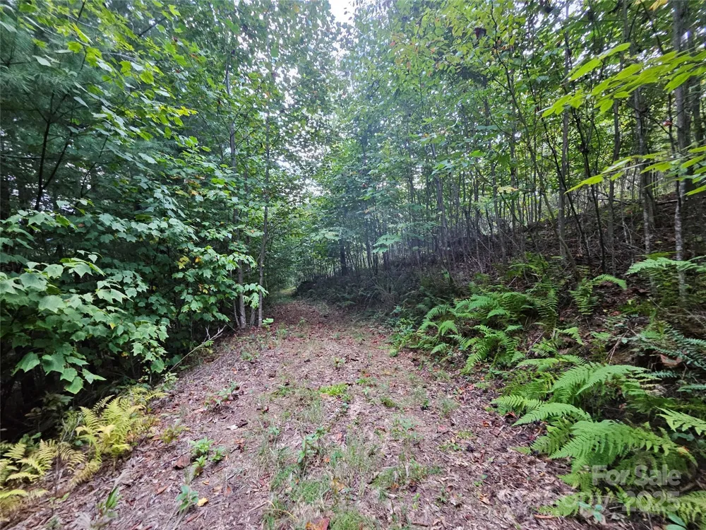 000 Double Island Road Green Mountain, NC 28740