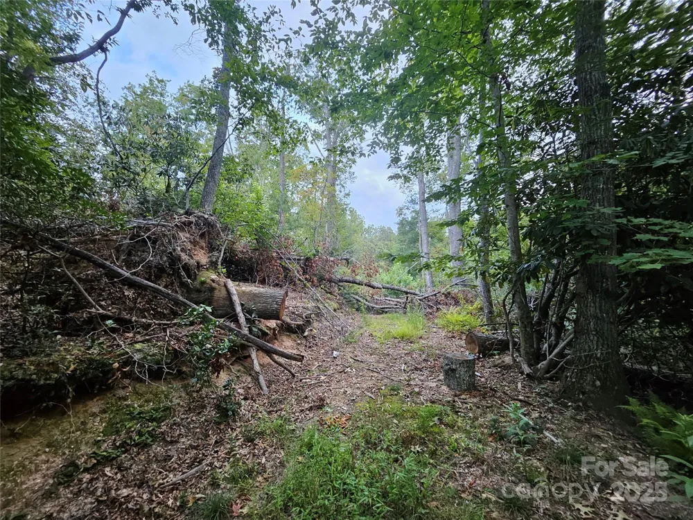 000 Double Island Road Green Mountain, NC 28740