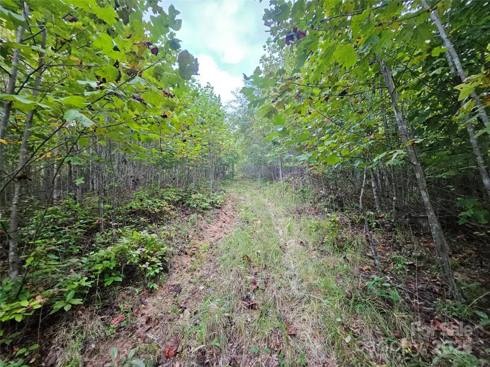 000 Double Island Road Green Mountain, NC 28740