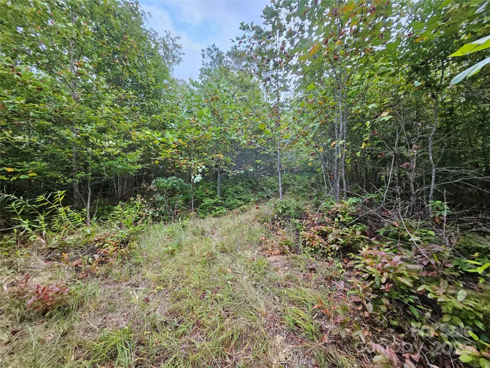 000 Double Island Road Green Mountain, NC 28740