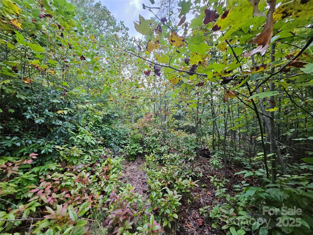 000 Double Island Road Green Mountain, NC 28740