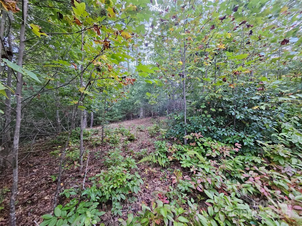 000 Double Island Road Green Mountain, NC 28740