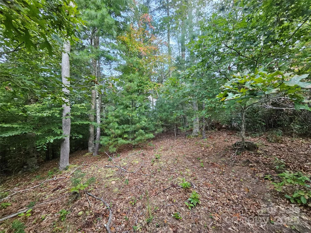000 Double Island Road Green Mountain, NC 28740