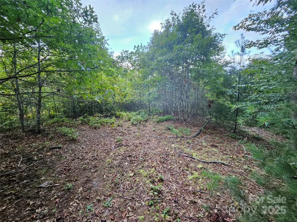 000 Double Island Road Green Mountain, NC 28740