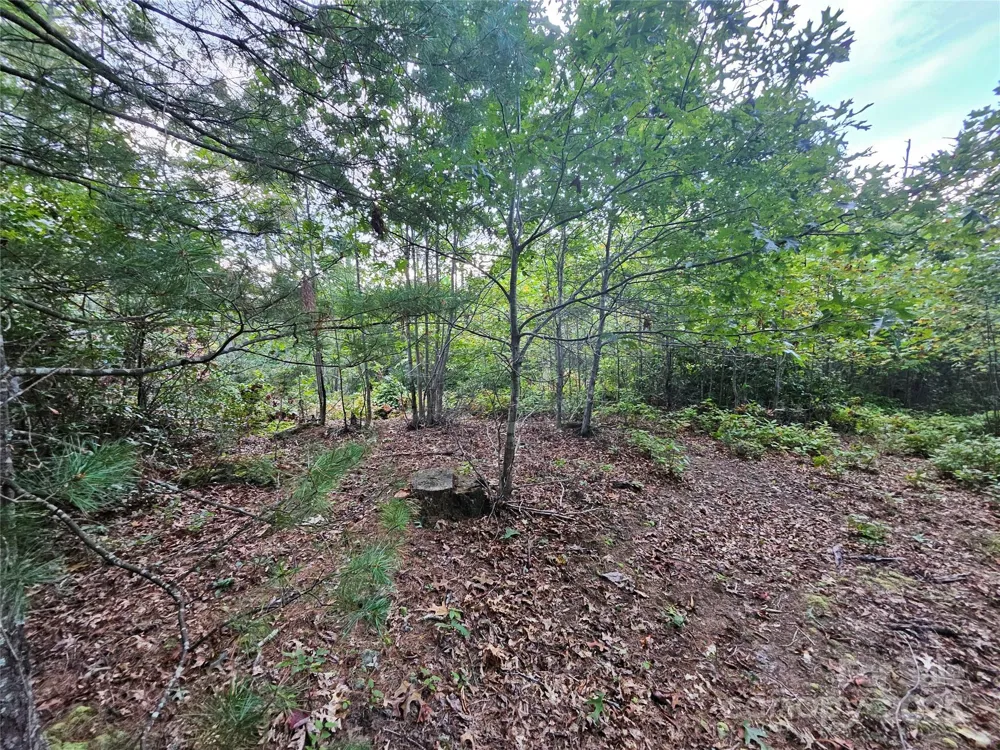 000 Double Island Road Green Mountain, NC 28740
