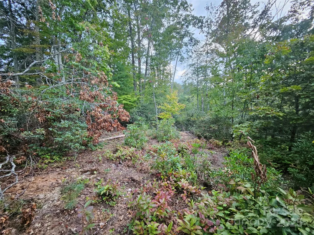 000 Double Island Road Green Mountain, NC 28740