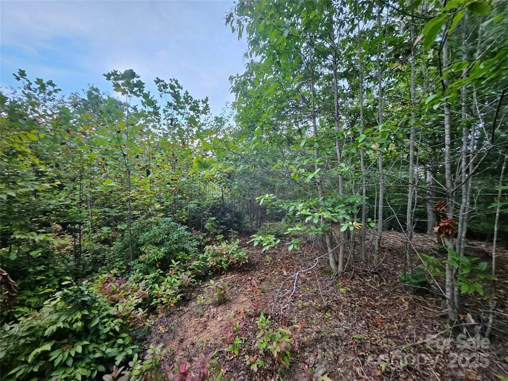 000 Double Island Road Green Mountain, NC 28740