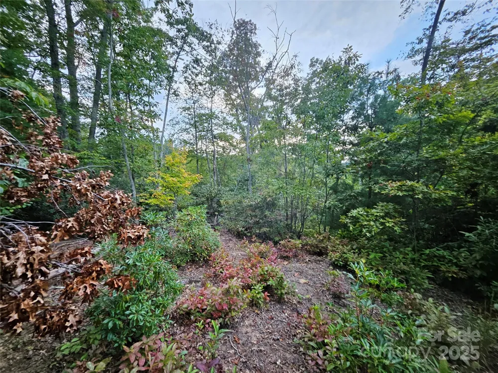 000 Double Island Road Green Mountain, NC 28740