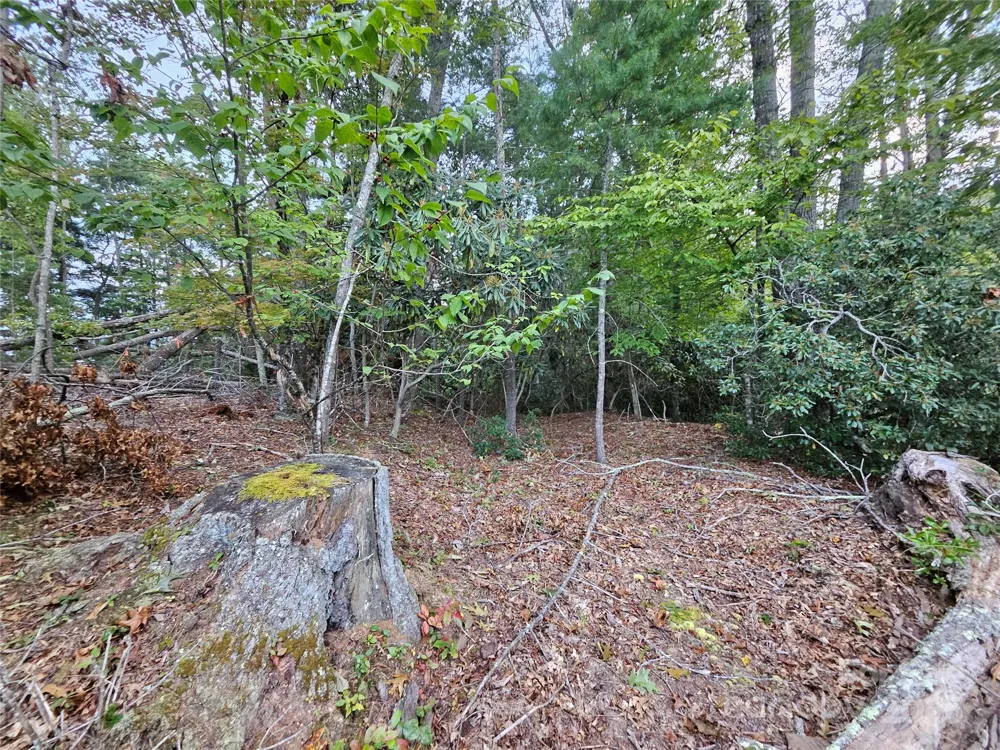 000 Double Island Road Green Mountain, NC 28740