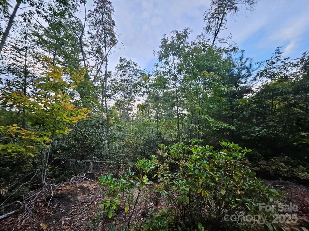 000 Double Island Road Green Mountain, NC 28740