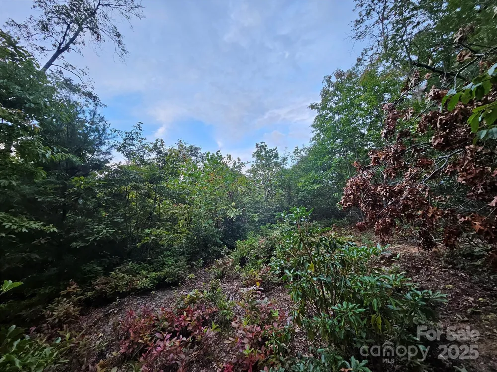 000 Double Island Road Green Mountain, NC 28740