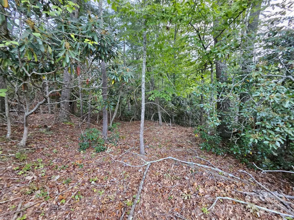 000 Double Island Road Green Mountain, NC 28740