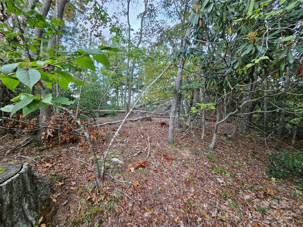 000 Double Island Road Green Mountain, NC 28740