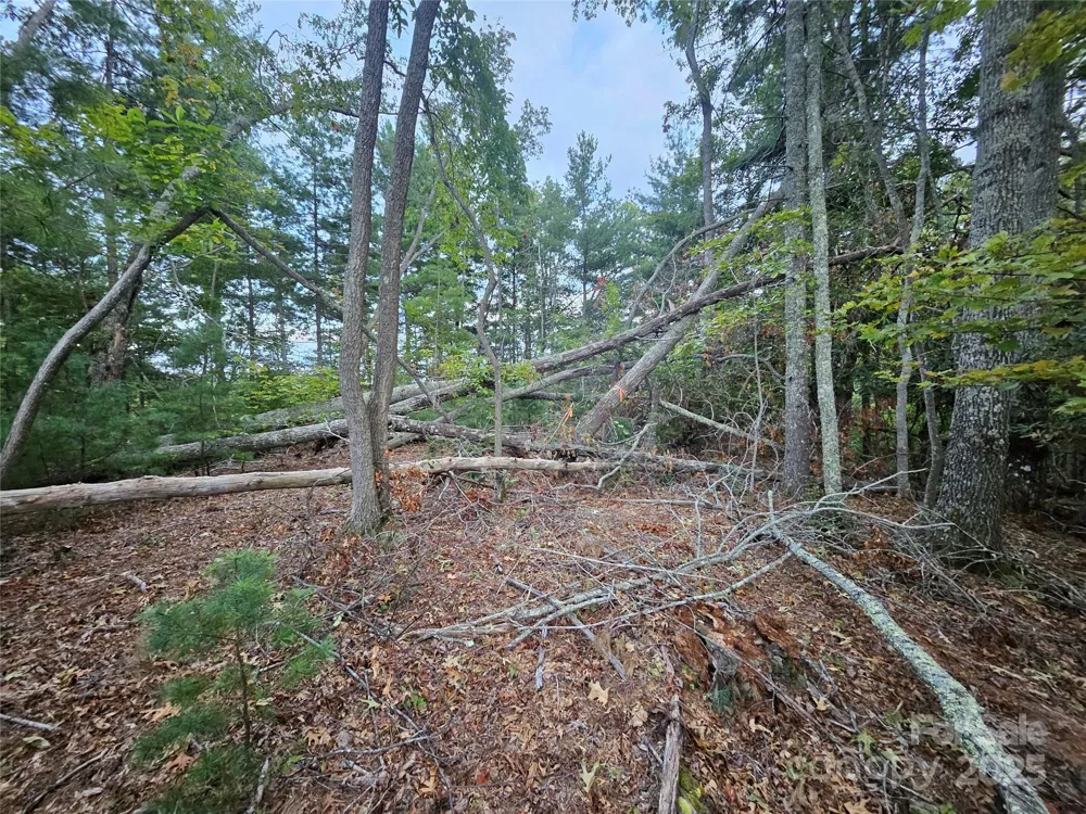 000 Double Island Road Green Mountain, NC 28740