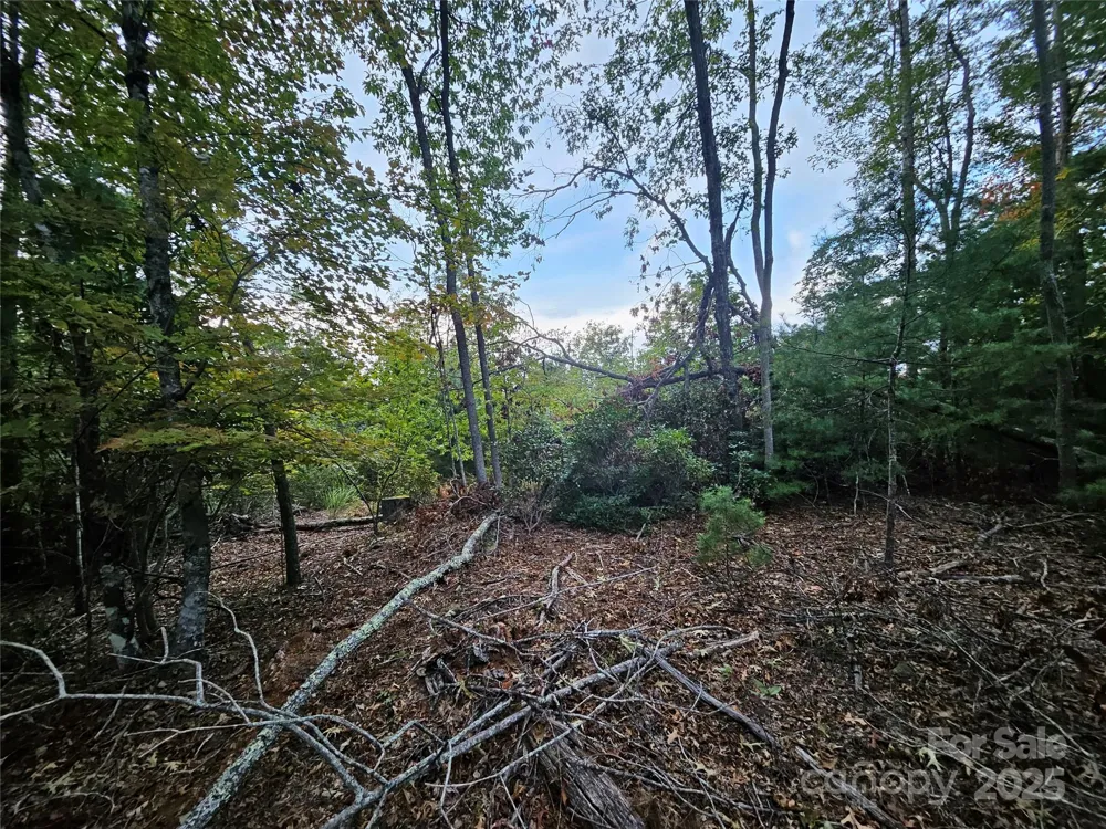 000 Double Island Road Green Mountain, NC 28740