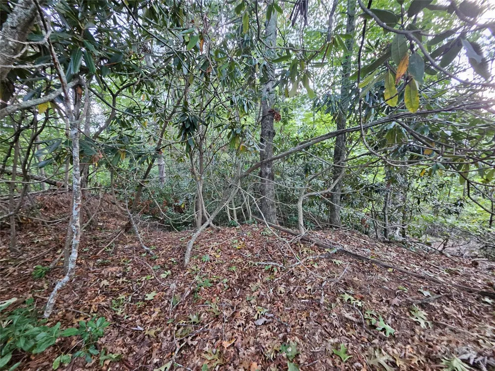 000 Double Island Road Green Mountain, NC 28740
