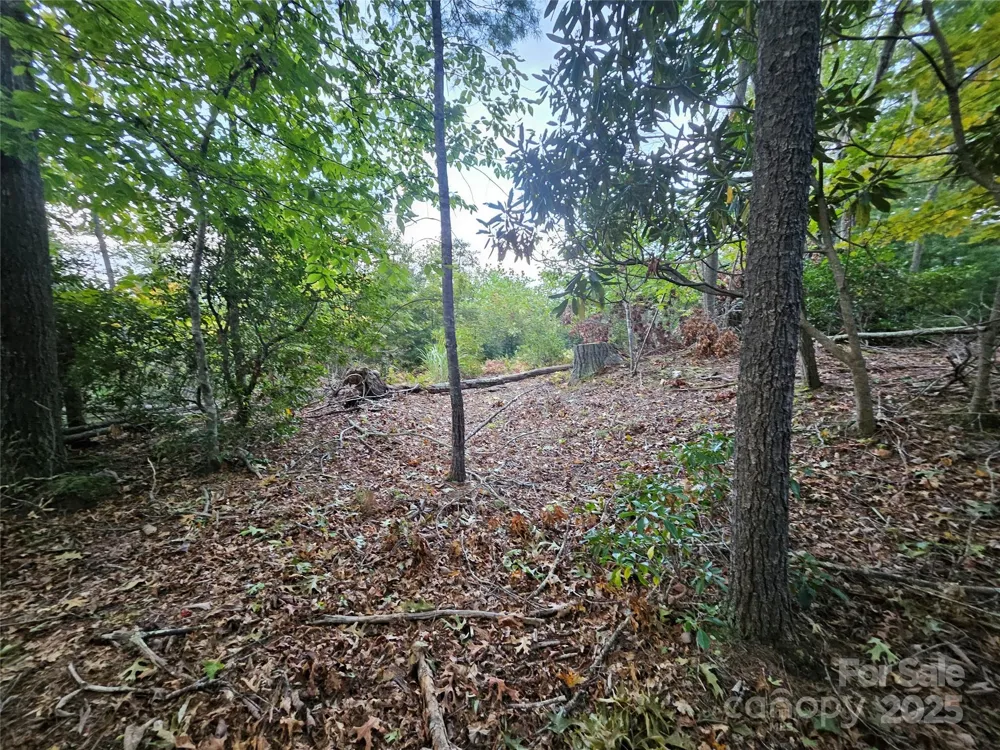 000 Double Island Road Green Mountain, NC 28740