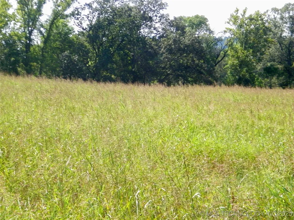 901 Sycamore Loop Broken Bow, OK 74728