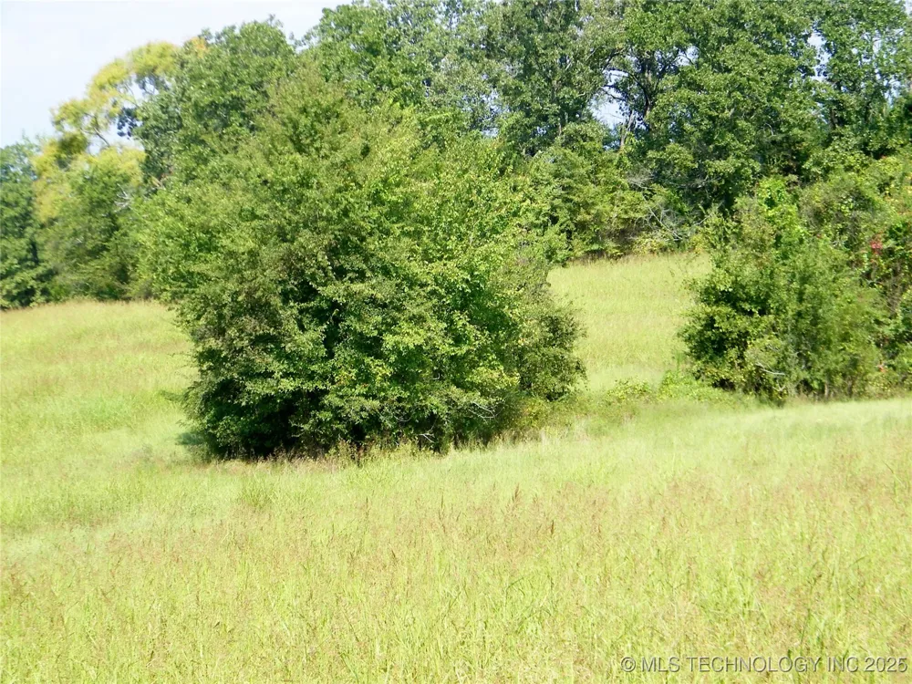 901 Sycamore Loop Broken Bow, OK 74728