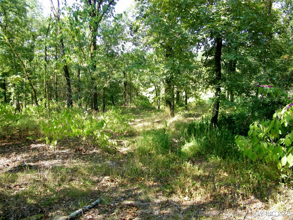 901 Sycamore Loop Broken Bow, OK 74728