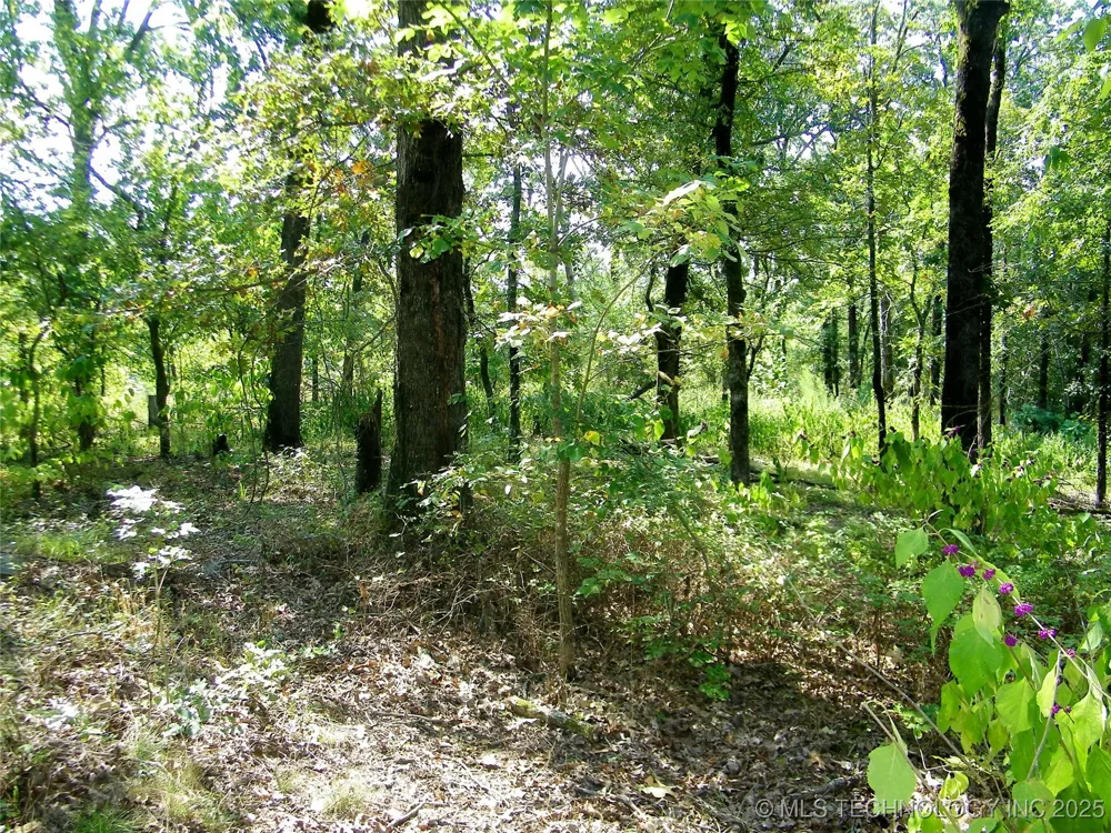 901 Sycamore Loop Broken Bow, OK 74728