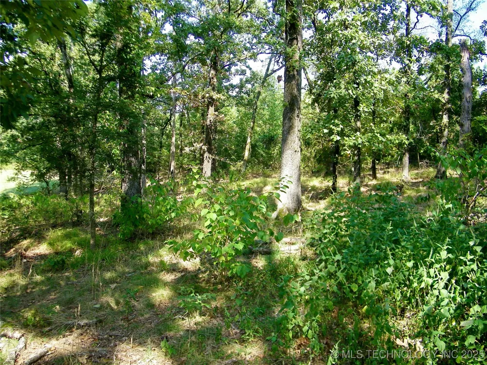 901 Sycamore Loop Broken Bow, OK 74728
