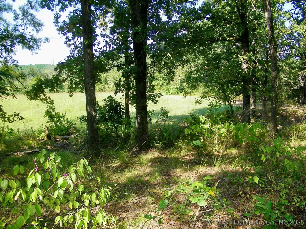 901 Sycamore Loop Broken Bow, OK 74728